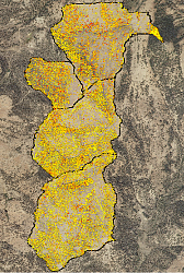 lidar-derived carbon estimates